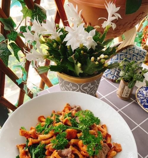 油菌美食大全——以煮鸡油菌的做法为主题（健康美味的鸡油菌佳肴，让你欲罢不能）