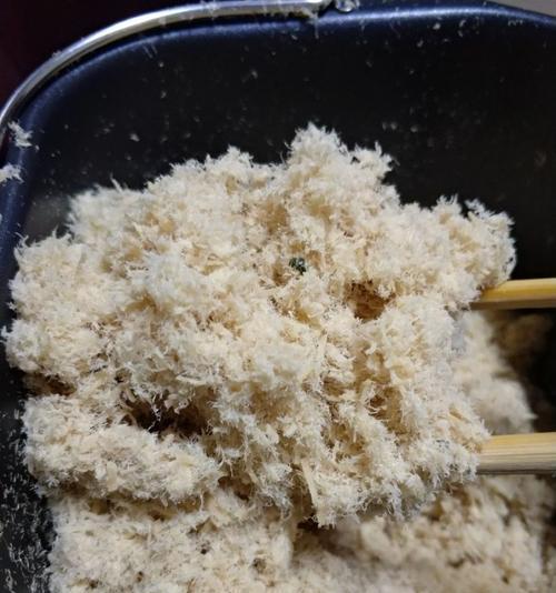 手工制作美味原味猪肉松（用心制作，健康美味）