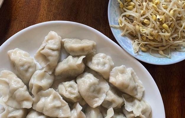 手工制作美味猪肉面条菜馅儿饺子（传统技艺，口感绝佳；美食家必备的饺子手艺）