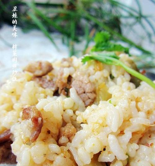 榨菜炒饭，简单好吃的中式料理（用家常食材打造健康美食，享受美味与健康的双重体验）