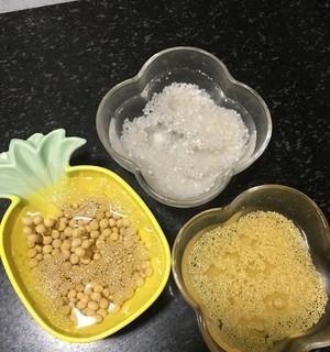 如何制作美味原味豆浆？（掌握制作技巧，尝遍自制豆浆的美味与营养）