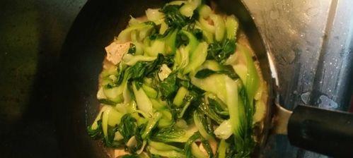 油菜豆腐的做法（学会制作美味营养的油菜豆腐）