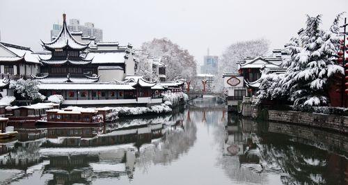 银装素裹，健康美味双享受（做法简单，营养丰富；素食新宠，值得一试）