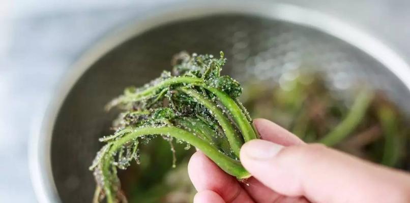 尝试制作自己的香椿小咸菜（自制小咸菜）