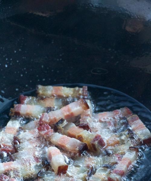 如何制作美味的烟燻腊肉饭（从选材到烹饪）