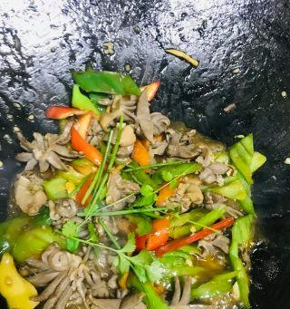 双椒炒鸭珍——美味佳肴的制作方法（辣椒与青椒的完美搭配）