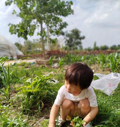 采摘的小女孩怎么做？步骤和技巧是什么？